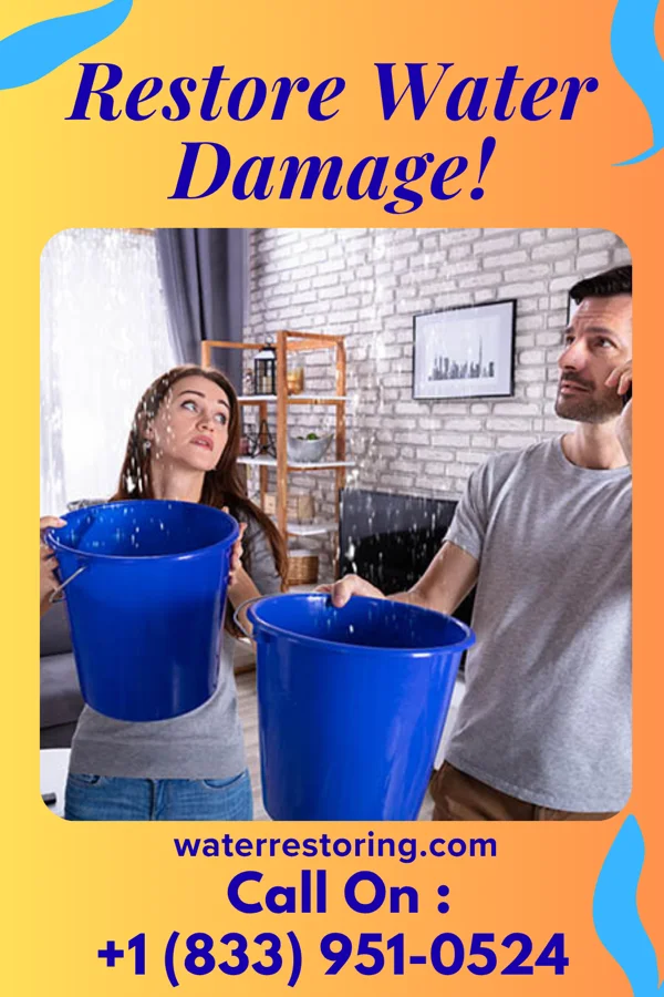 water restoration Classic Water Damage LLC Lydia